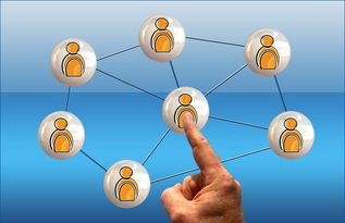 mk体育平台网页版入口-冠军球队社会责任项目获社区高度评价与广泛参与,冠军组织的定义