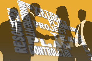 mk体育平台网页版入口-冠军球队社会责任项目获社区高度评价与广泛参与,冠军组织的定义